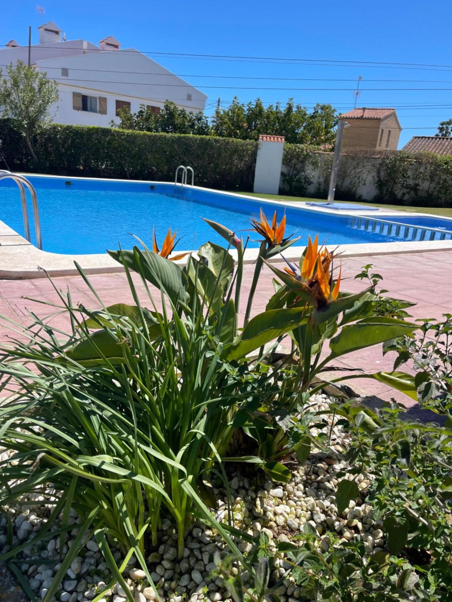 Cala Puntal Apartment Vinarós Exterior photo